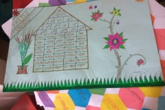 Class-soft-boards3