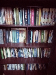 School_library2