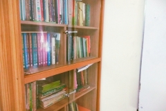 School_library4