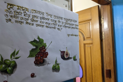 1_PXL_20251011_071732365