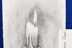 PXL_20251009_113253162.MP_