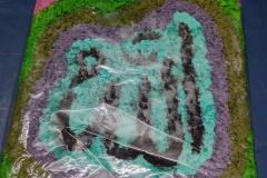 PXL_20251009_115100032