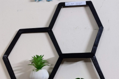 PXL_20251009_122345585