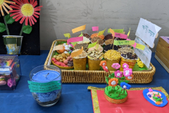 PXL_20251009_122407330