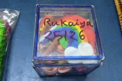 PXL_20251009_122418746