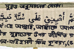 PXL_20251009_124627012.MP2_