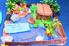 PXL_20251009_124916553