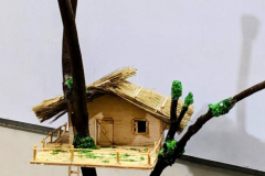 PXL_20251009_1251599902