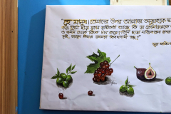 PXL_20251011_062954400.MP2_