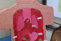 PXL_20251011_064907293