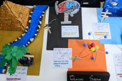 PXL_20251011_065802786