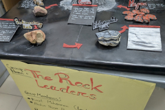 PXL_20251011_072309157