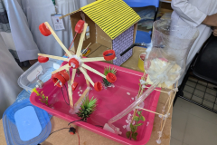 PXL_20251011_073214233