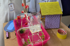 PXL_20251011_073216950