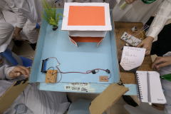 PXL_20251011_073335565