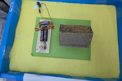 PXL_20251011_073527547