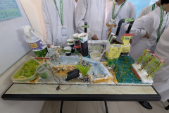 PXL_20251011_073706174