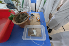 PXL_20251011_073819286