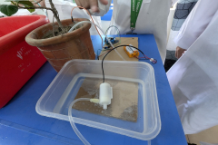 PXL_20251011_073847527