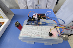 PXL_20251011_074007238