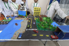 PXL_20251011_074354943