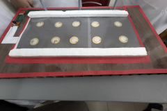 PXL_20251011_074509479