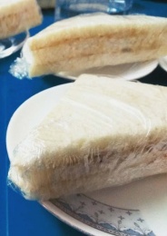Tiffin2